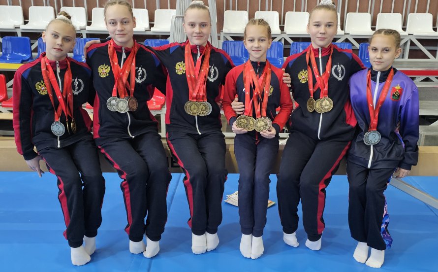 Соревнования по спортивной гимнастике памяти олимпийского чемпиона Б.А. Шахлина
